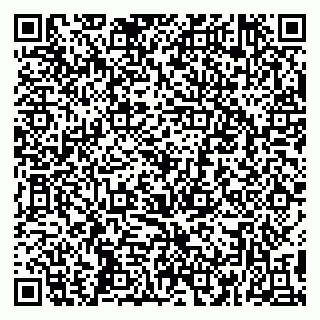 vCard 79399005153