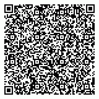 vCard 79399005211