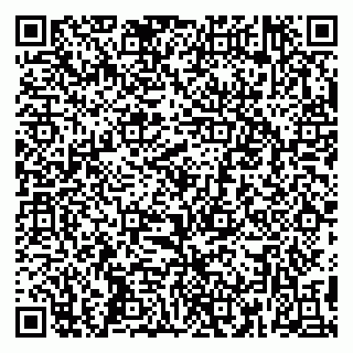 vCard 79399005313