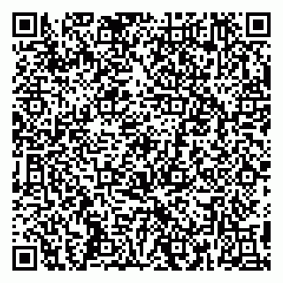 vCard 79399005317