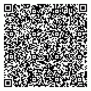 vCard 79399005381
