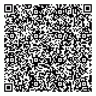 vCard 79399007335