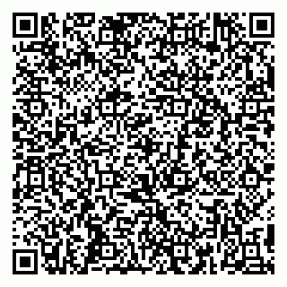 vCard 79399008413