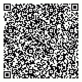 vCard 79399990001