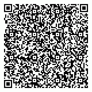 vCard 79399990004