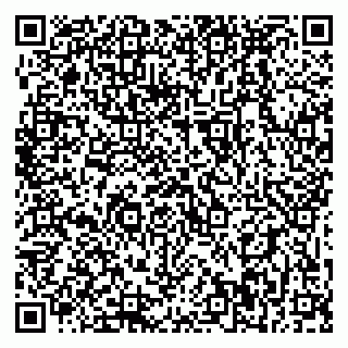 vCard 79399990005