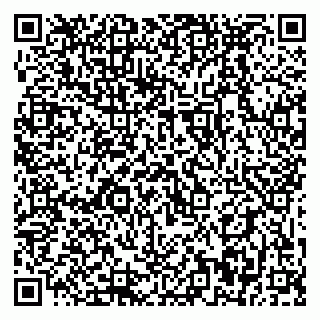 vCard 79399990008