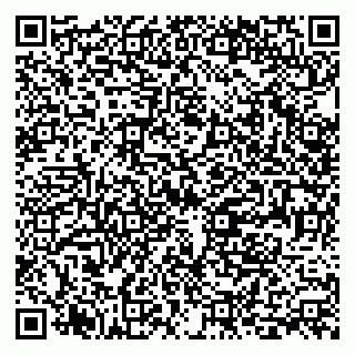 vCard 79399990011