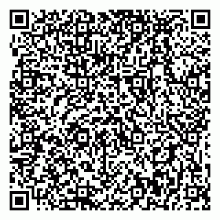 vCard 79399990012