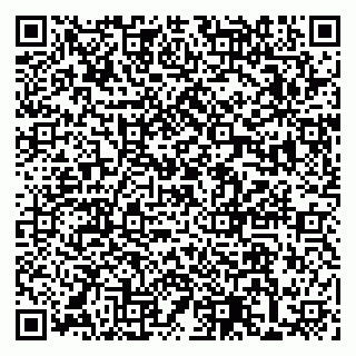 vCard 79399990013