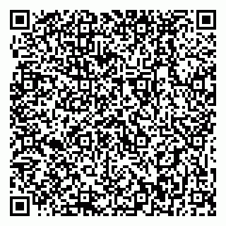 vCard 79399990021