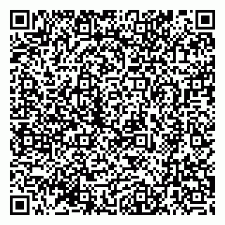 vCard 79399990030