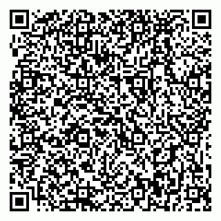 vCard 79399990031