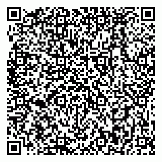 vCard 79399990032