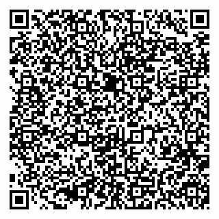 vCard 79399990041