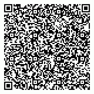 vCard 79399990061