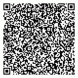 vCard 79399990087