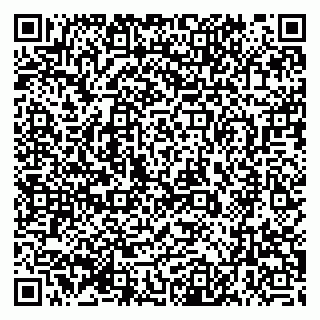 vCard 79399990095