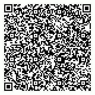 vCard 79399990101