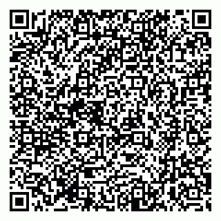 vCard 79399990111