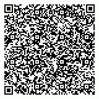 vCard 79399990119