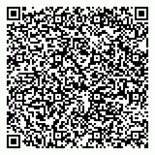 vCard 79399990131