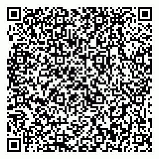 vCard 79399990132