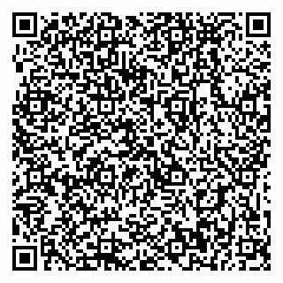 vCard 79399990136