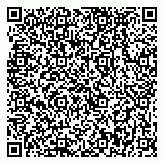 vCard 79399990200