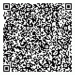 vCard 79399990201