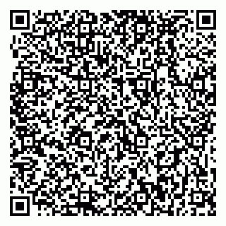 vCard 79399990203