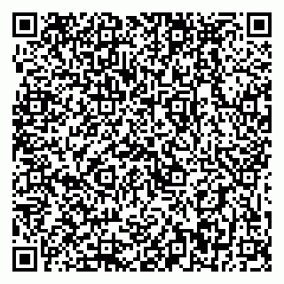 vCard 79399990209