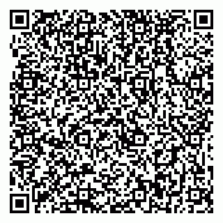 vCard 79399990221