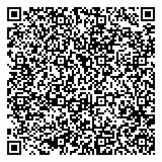 vCard 79399990272