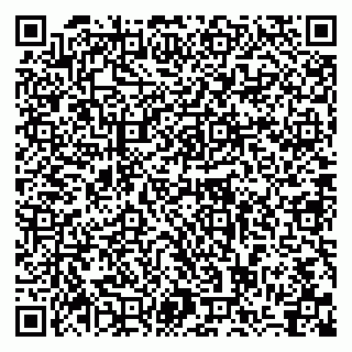 vCard 79399990300