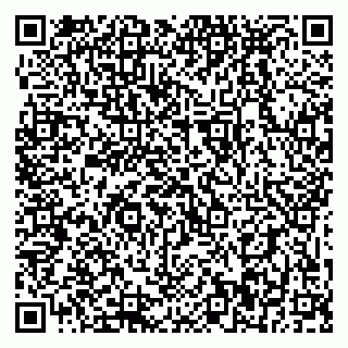 vCard 79399990311
