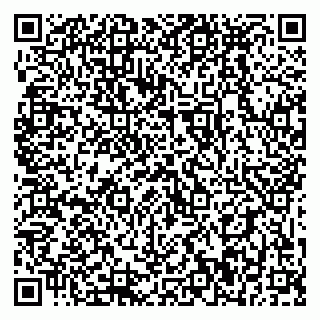 vCard 79399990313