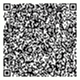 vCard 79399990331