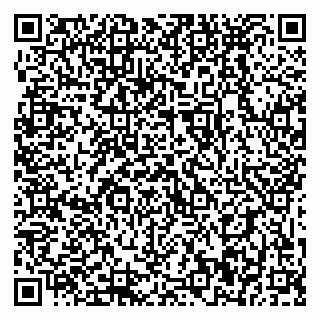 vCard 79399990370