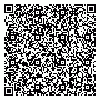 vCard 79399990380