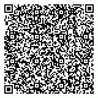 vCard 79399990381