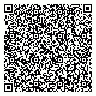 vCard 79399990385
