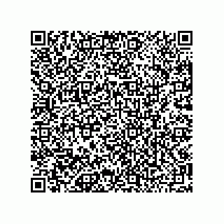 vCard 79501555333