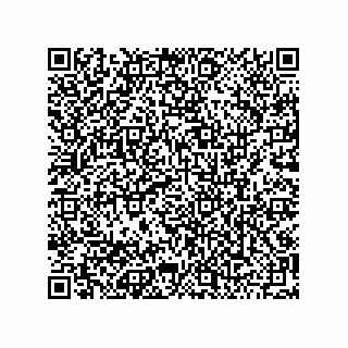 vCard 79501555393