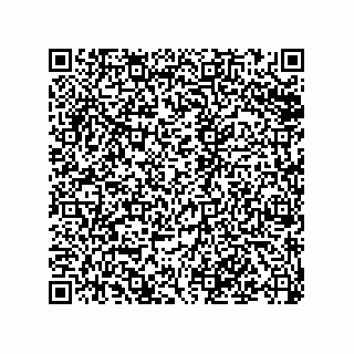 vCard 79501771209