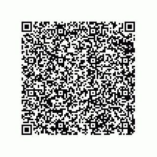 vCard 79501771234