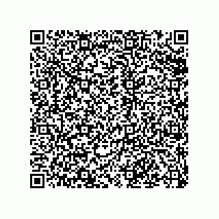 vCard 79501771235