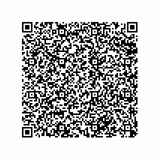 vCard 79501771300