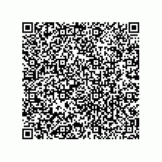 vCard 79501771309