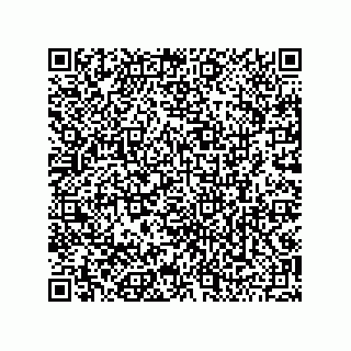 vCard 79501771311